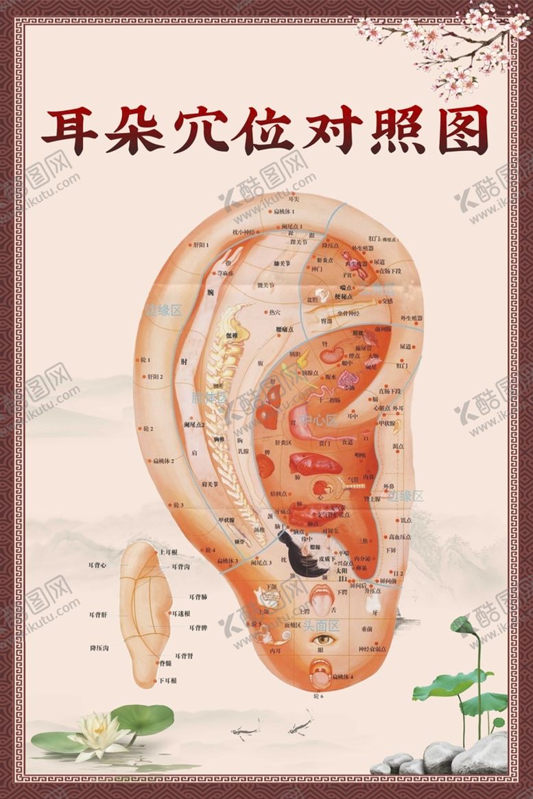 编号：45154602091637595404【酷图网】源文件下载-耳穴海报