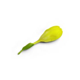 花瓣