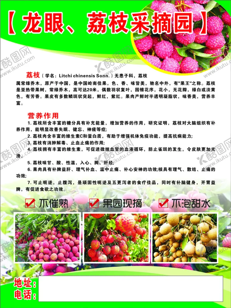编号：32529010262107114278【酷图网】源文件下载-荔枝龙眼海报