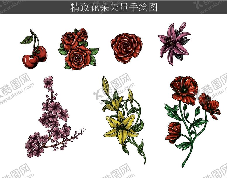 编号：75954201260539452534【酷图网】源文件下载-精致花朵矢量手绘图
