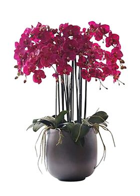 花艺