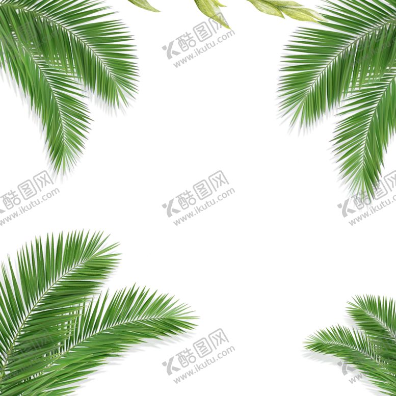 编号：91628202082214428605【酷图网】源文件下载-绿色 春天 绿植 大叶
