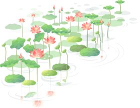 荷花