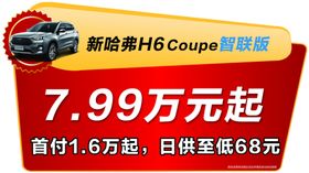 汽车车顶牌