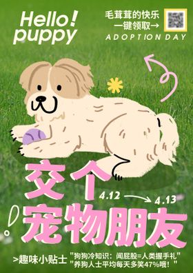 狗狗交友海报