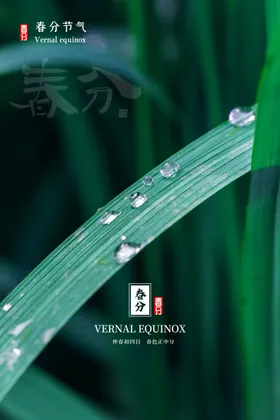 春分素材手机海报地产海报