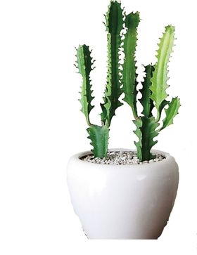 植物藤蔓壁画沙发背景墙背景墙效果图