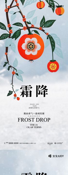 霜降海报二十四节气雪花冰花柿子
