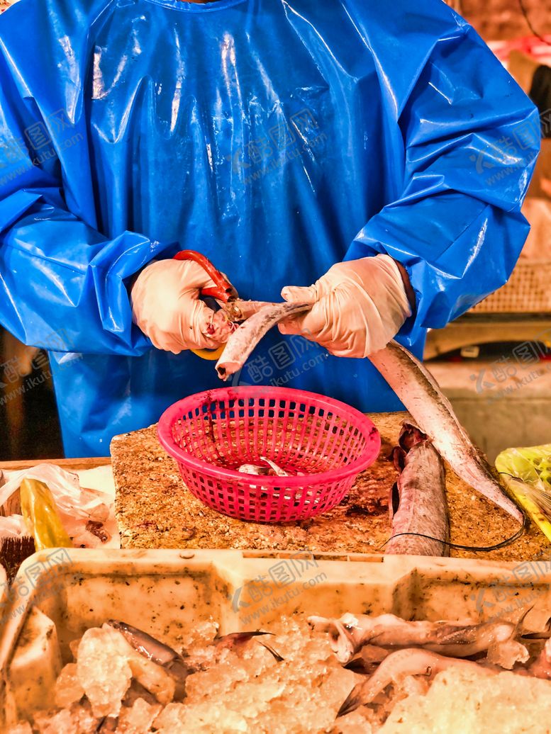 编号：34598609240028201240【酷图网】源文件下载-杀带鱼