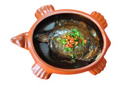 甲鱼