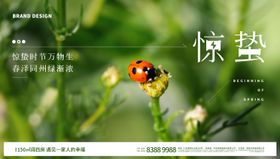 惊蛰节气海报展板