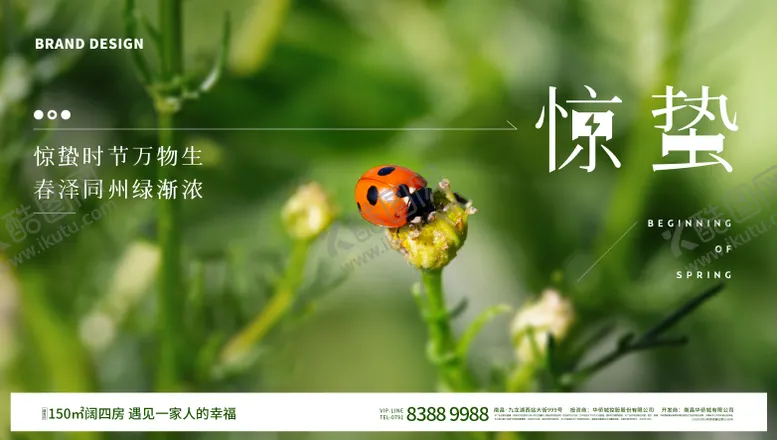 编号：83676801161859384579【酷图网】源文件下载-惊蛰节气海报展板