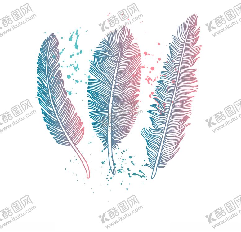 编号：94225210011256388510【酷图网】源文件下载-羽毛