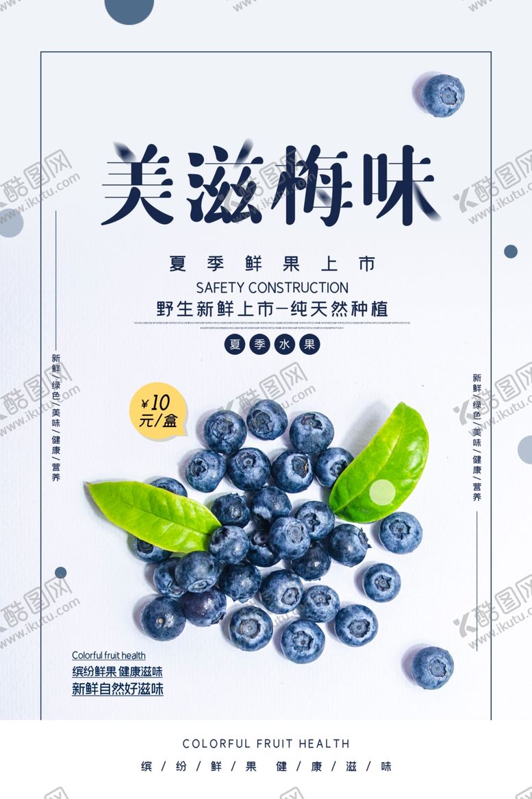 编号：45201206261620523396【酷图网】源文件下载-蓝莓水果