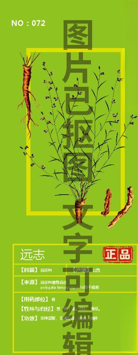 远志