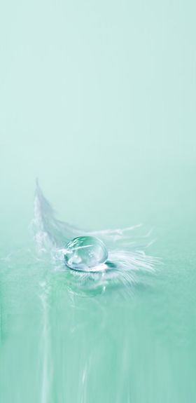 节气底图