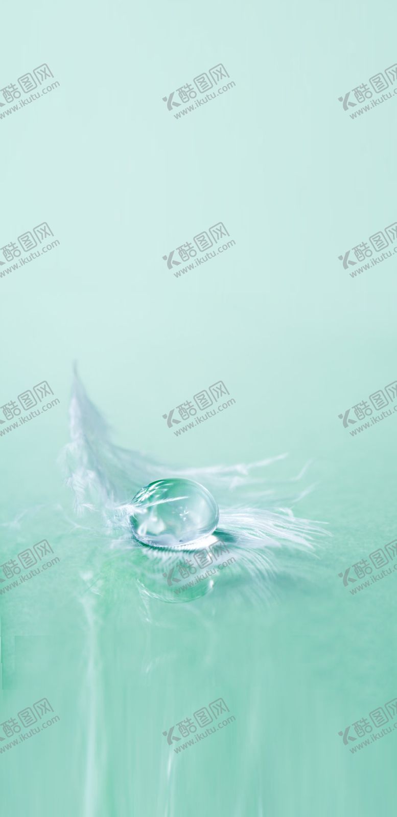 编号：45722110211730421792【酷图网】源文件下载-白露节气底图