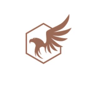 老鹰图标