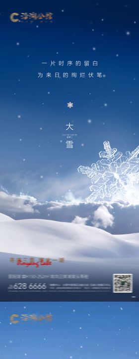 小雪大雪雪花海报