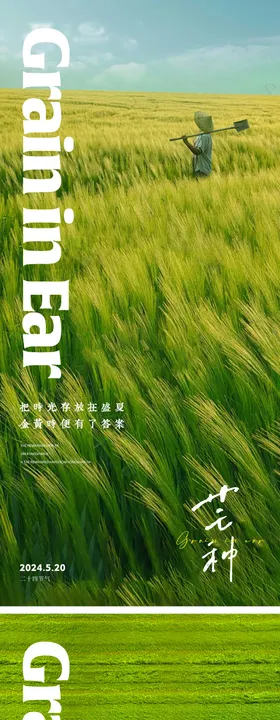 芒种节气海报麦子麦穗麦田二十四