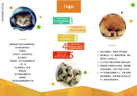 宠物三折页DM宣传单贵宾犬