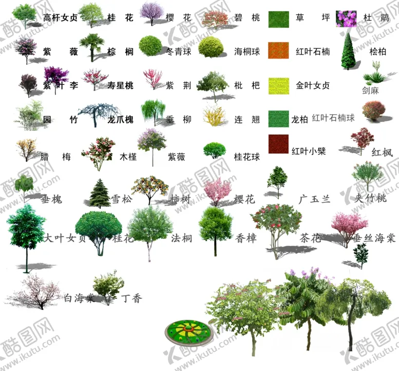 编号：75245806271630356759【酷图网】源文件下载-乔木类素材