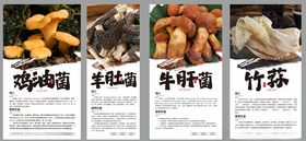 菌类海报