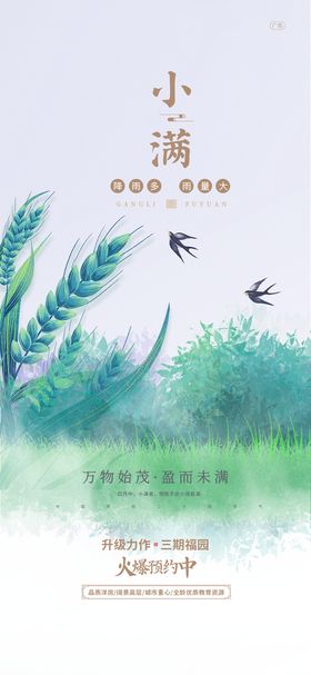 小清新传统24节气小满海报