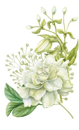 创意花月季爱婚礼素材水彩