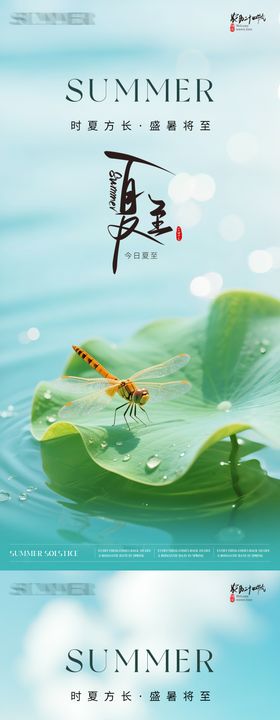 夏至海报
