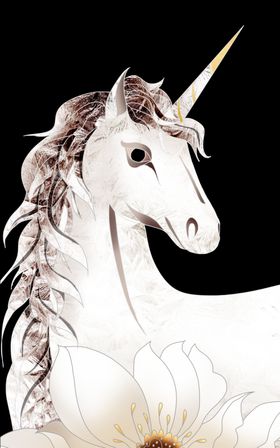 轻奢二联装饰画
