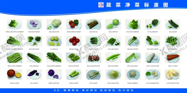 编号：76146203010230159283【酷图网】源文件下载-蔬菜净菜标准图