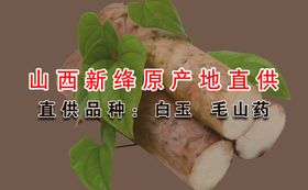 山药名片毛山药