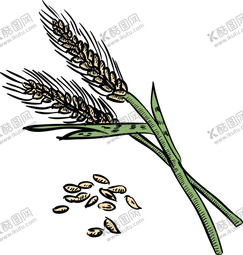 编号：52023707060547295637【酷图网】源文件下载-绿色植物