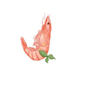 虾元素