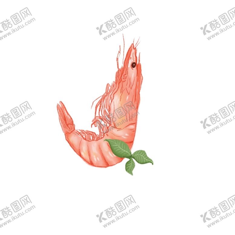 编号：11456306272107476822【酷图网】源文件下载-虾元素