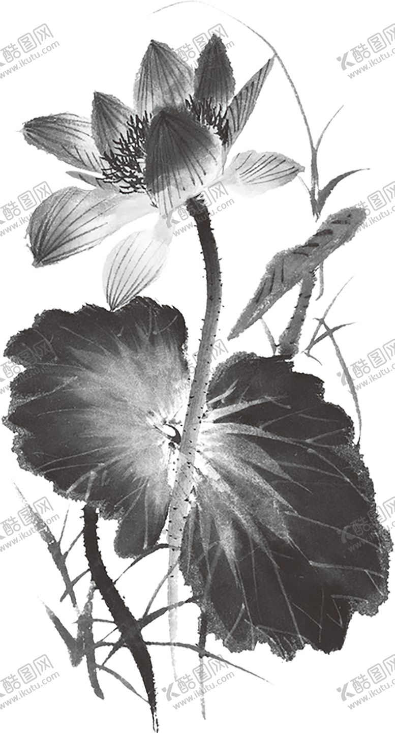 编号：59725706171929539051【酷图网】源文件下载-水墨荷花粉色荷花荷花意境