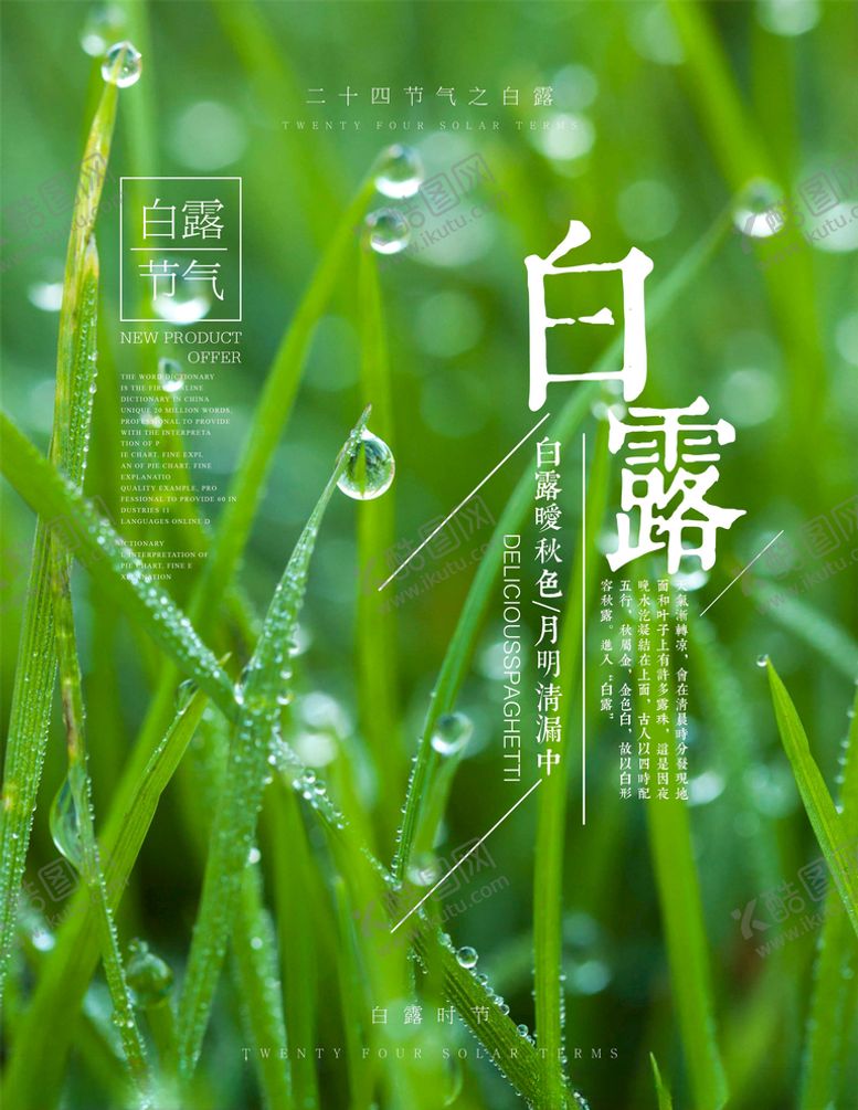 编号：49037205171848484436【酷图网】源文件下载-白露