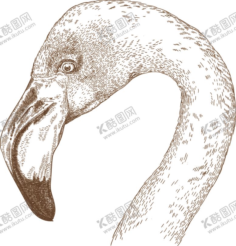 编号：42328210161945062648【酷图网】源文件下载-动物素描