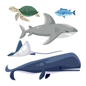 海洋生物底动动鱼类