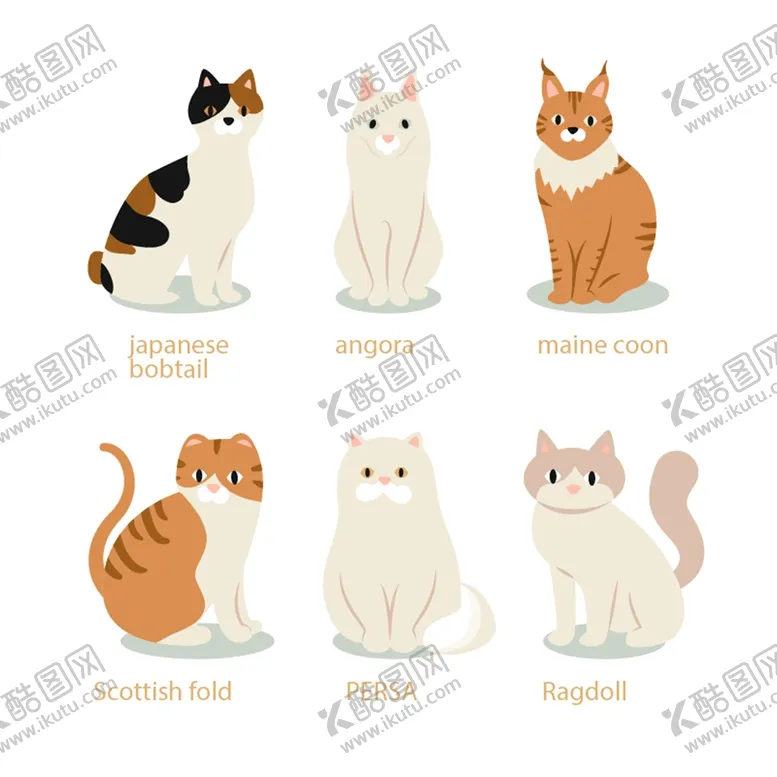 编号：12540010180538329591【酷图网】源文件下载-猫