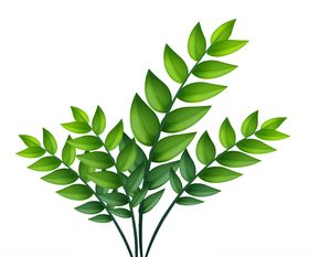 卡通树