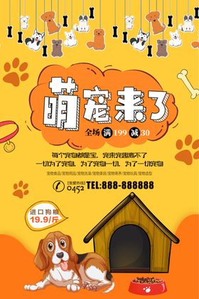 萌宠来了