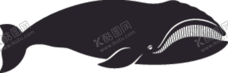 编号：46067610261223261345【酷图网】源文件下载-海洋生物系列鲸鱼