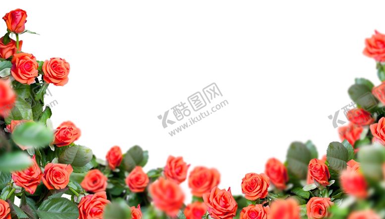 编号：45547006261829289543【酷图网】源文件下载-玫瑰花边框