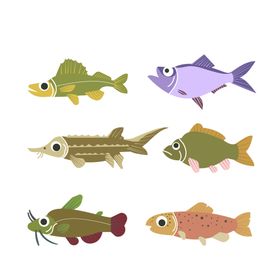 海洋生物动鱼类底动