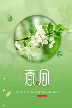 春分单张闪屏整形地产海报