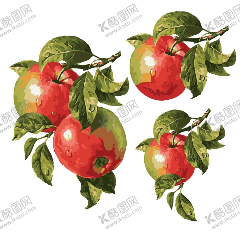 编号：30457506251446034587【酷图网】源文件下载-手绘苹果插画