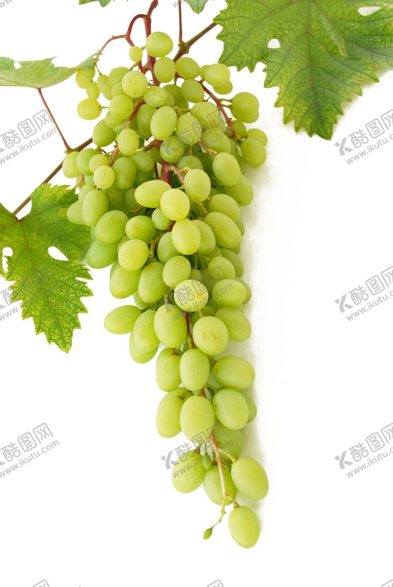 编号：16514507081605495617【酷图网】源文件下载-水果