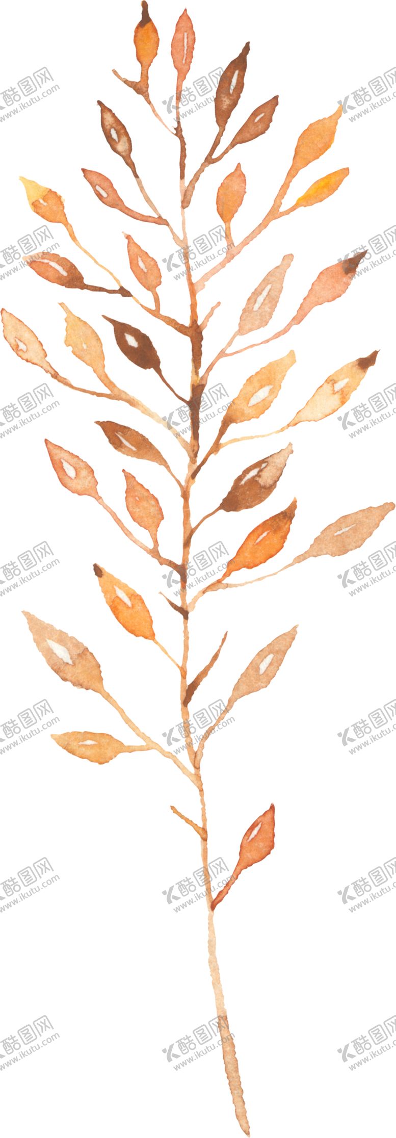 编号：94353404300336489016【酷图网】源文件下载-花叶